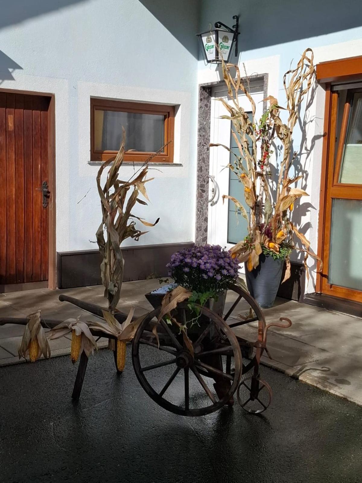 Ferienwohnung Heiabett Wies Zewnętrze zdjęcie